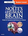 Nolte's The Human Brain: An Introduction to its Functional Anatomy