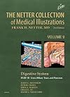 The Netter collection of medical illustrations. Volume 9, Part III, Digestive system Liver, Biliary Tract, and Pancreas