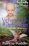 Velvet Ball and The Broken Fairy