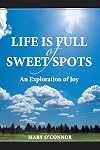 Life is Full of Sweet Spots: An Exploration of Joy