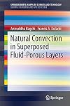Natural convection in superposed fluid-porous layers