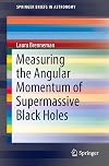 Measuring the Angular Momentum of Supermassive Black Holes