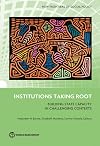Institutions Taking Root: Building State Capacity in Challenging Contexts (New Frontiers of Social Policy)