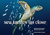 Sea Turtles Up Close