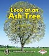 Look at an Ash Tree (First Step Nonfiction ― Look at Trees)
