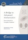 A Bridge to Advanced Mathematics