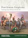 Post-Roman Kingdoms: ‘Dark Ages' Gaul & Britain, AD 450–800 (Elite, 248)