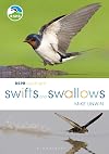 RSPB Spotlight: Swifts and Swallows