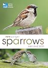 RSPB Spotlight: Sparrows