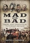 Mad or Bad: Crime and Insanity in Victorian Britain