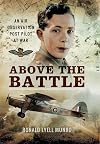 Above the Battle: An Air Observation Post Pilot at War