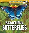 Beautiful Butterflies (Smithsonian Little Explorer: Insect Explorer)