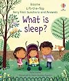 What Is Sleep? (Usborne Lift-the-Flap Very First Questions and Answers)