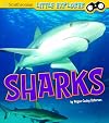 Sharks (Little Explorer: Little Scientist)