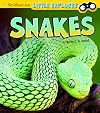 Snakes (Little Explorer: Little Scientist)