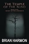Secret of the Labyrinth (The Temple of the Blind #5)