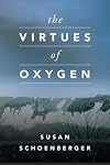 The Virtues of Oxygen