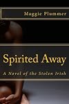 Spirited Away - A Novel of the Stolen Irish