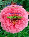 Telugu Aksharmala - Level 1 text work book: A beginner level book for Telugu language