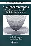 Counterexamples : from elementary calculus to the beginnings of analysis