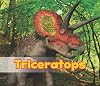 Triceratops (Acorn: All About Dinosaurs)