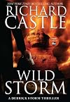 Wild Storm: A Derrick Storm Thriller