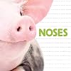 Noses (Whose Is It?)
