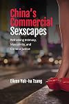 China's Commercial Sexscapes: Rethinking Intimacy, Masculinities and Criminal Justice