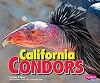California Condors (Pebble Plus: Birds of Prey)