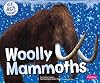 Woolly Mammoths (Pebble Plus: Ice Age Animals)