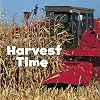 Harvest Time (Little Pebble: Celebrate Fall)
