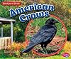 American Crows