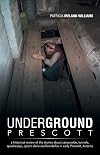 Underground Prescott: A Historical Review of the Stories About Catacombs, Tunnels, Speakeasys, Opium Dens and Bordellos in Early Prescott, Arizona