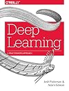 Deep Learning: A Practitioner's Approach