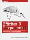 Efficient R Programming: A Practical Guide to Smarter Programming