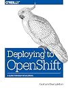 Deploying to OpenShift: A Guide for Busy Developers