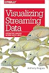Visualizing Streaming Data: Interactive Analysis Beyond Static Limits