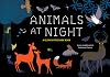 Animals at Night: A Glow-in-the-Dark Book