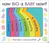 How Big Is Baby Now?: A New Baby Gift Book for Big Brothers and Big Sisters (Baby Shower Gift)
