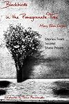 Blackbirds in the Pomegranate Tree: Stories from Ixcotel State Prison