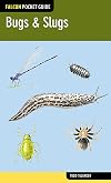 Bugs and slugs