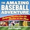 The Amazing Baseball Adventure: Ballpark Wonders from the Bushes to the Show