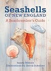 Seashells of New England : a beachcomber's guide