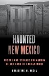 Haunted New Mexico: Ghosts and Strange Phenomena of the Land of Enchantment (Haunted Series)