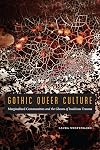 Gothic Queer Culture: Marginalized Communities and the Ghosts of Insidious Trauma (Expanding Frontiers: Interdisciplinary Approaches to Studies of Women, Gender, and Sexuality)