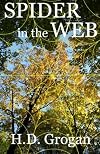 Spider in the Web (Web Series)