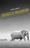 Ecologies of Participation: Agents, Shamans, Mystics, and Diviners (Postcolonial and Decolonial Studies in Religion and Theology)