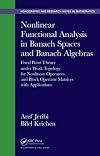 Nonlinear functional analysis in banach spaces and banach algebras : fixed point theory under weak topology for nonlinear operators and block operator matrices with applications