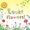 Look! Flowers!
