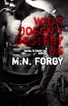 What Doesn't Destroy Us